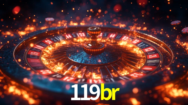 119br App Interface